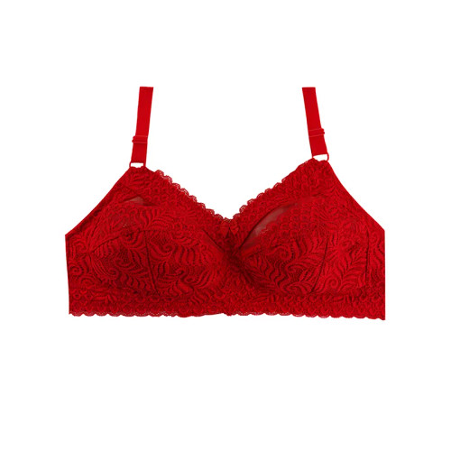 سوتین زنانه دانتل بدون فنر کاپ B سامان لعیا سایزبندی کامل