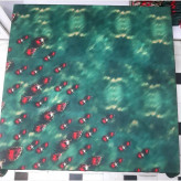 روسری طرح آذر با حاشیه زیبا و رنگبندی صورتی، قابل ست با لباسهای مختلف